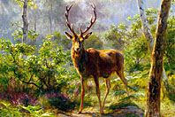 rosa-bonheur-cerf.jpg rosa-bonheur-cerf.jpg