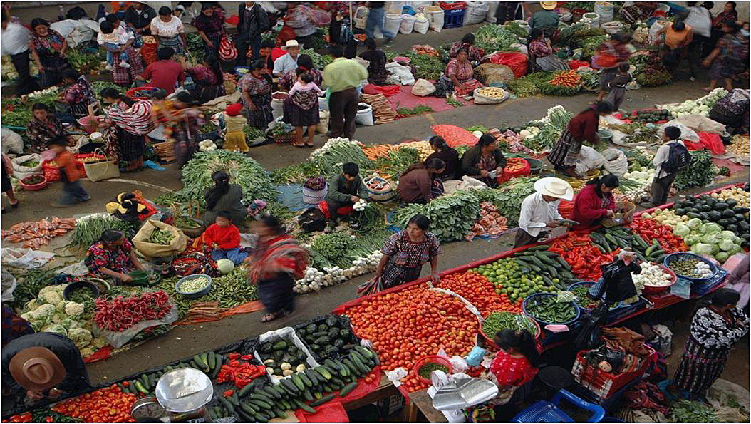 Guatemala-2026-jour-2.2.jpg
