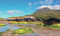 Irlande-2026-jour-3.1.jpg